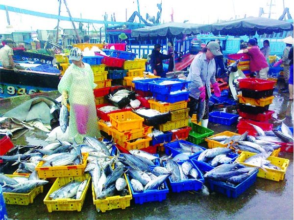 hai san phu quoc 1 600x450 - Điểm danh 2 khu chợ hải sản Phú Quốc nổi tiếng