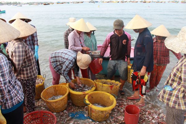 Chợ hải sản lúc mới đánh bắt lên 