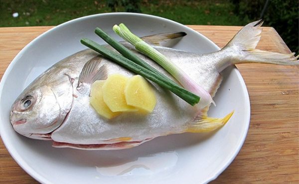 8. mon ca chim hap hanh 600x369 - Top 15 món cá hấp thơm ngon, thịt mềm ăn một lần nhớ nhiều lần